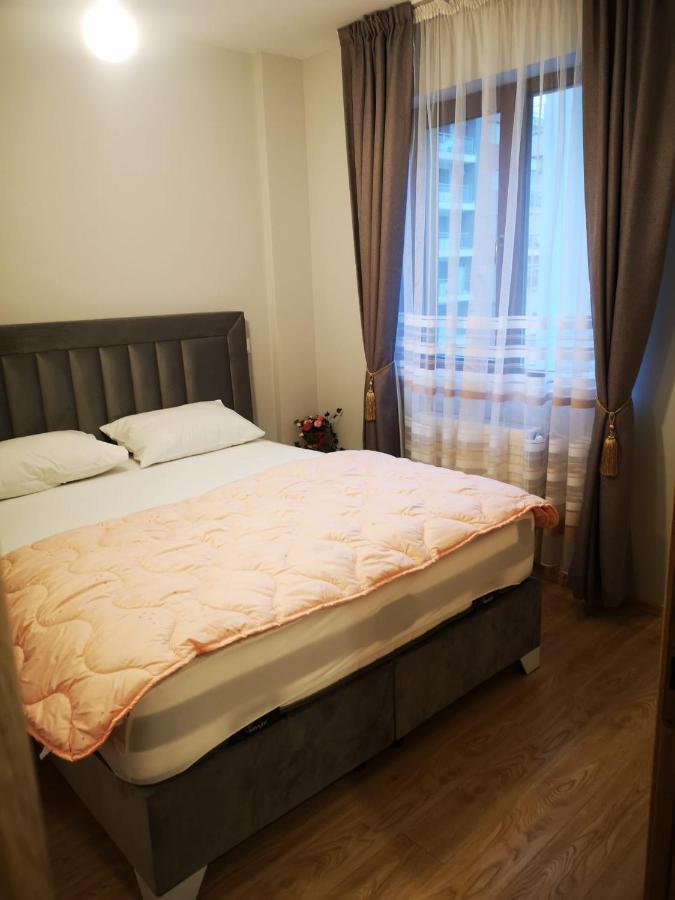Alexhome Lux 27 Free Parking * Bucarest